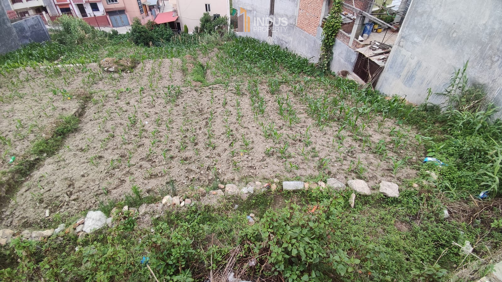 Picture of Mahalaxmi Municipality, Bagmati